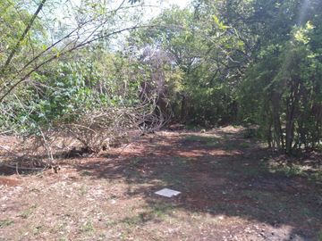 VENTA DE RANCHO PARA GANADERIA O FRACCIONAR EN CARRETERA A TIXKOKOB, YUCATÁN