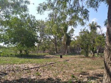 VENTA DE RANCHO PARA GANADERIA O FRACCIONAR EN CARRETERA A TIXKOKOB, YUCATÁN