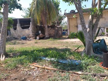 VENTA DE RANCHO PARA GANADERIA O FRACCIONAR EN CARRETERA A TIXKOKOB, YUCATÁN