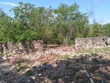 VENTA DE RANCHO PARA GANADERIA O FRACCIONAR EN CARRETERA A TIXKOKOB, YUCATÁN