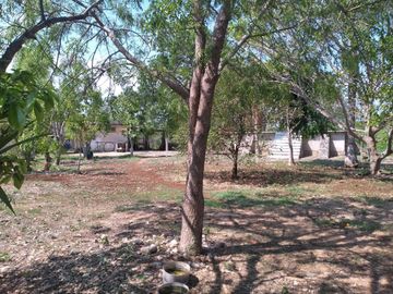 VENTA DE RANCHO PARA GANADERIA O FRACCIONAR EN CARRETERA A TIXKOKOB, YUCATÁN