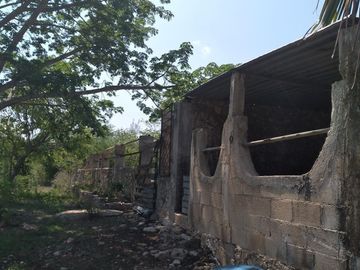 VENTA DE RANCHO PARA GANADERIA O FRACCIONAR EN CARRETERA A TIXKOKOB, YUCATÁN