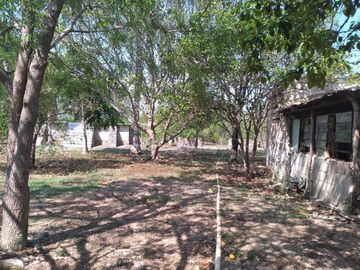 VENTA DE RANCHO PARA GANADERIA O FRACCIONAR EN CARRETERA A TIXKOKOB, YUCATÁN