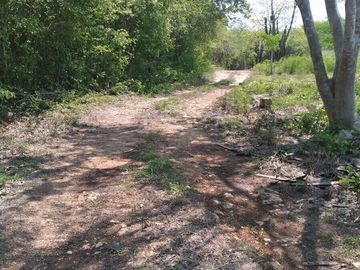 VENTA DE RANCHO PARA GANADERIA O FRACCIONAR EN CARRETERA A TIXKOKOB, YUCATÁN