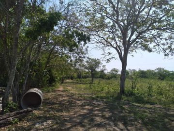 VENTA DE RANCHO PARA GANADERIA O FRACCIONAR EN CARRETERA A TIXKOKOB, YUCATÁN