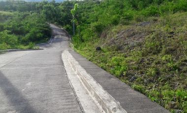 ELEVATED UPHILL 195 SQM OVERLOOKING. CONSOLACION CEBU LOT FOR SALE AT VISTA VERDE