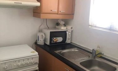Condominium 1 Bedroom: 1BR Condo For Sale in Greenbelt Raddison Tower Makati City