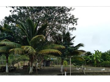 se vende finca en San Vicente -Briceño