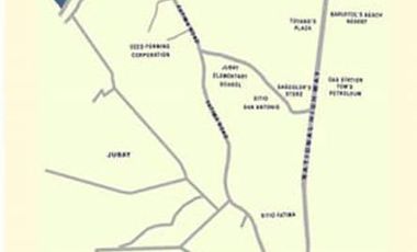 Most Afforable Houses for Sale in Happy Homes Liloan