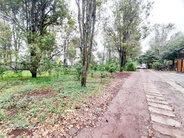 VILLA DI BANDUNG CILEUNYI