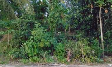 303 Sqm Big Lot for Sale in Greenwoods Subdivision near Talamban Cebu City