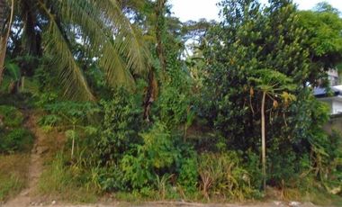 303 Sqm Big Lot for Sale in Greenwoods Subdivision near Talamban Cebu City
