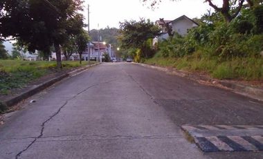 303 Sqm Big Lot for Sale in Greenwoods Subdivision near Talamban Cebu City