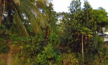 303 Sqm Big Lot for Sale in Greenwoods Subdivision near Talamban Cebu City