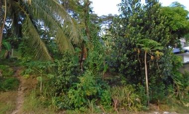 303 Sqm Big Lot for Sale in Greenwoods Subdivision near Talamban Cebu City