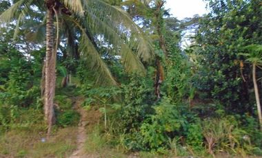 303 Sqm Big Lot for Sale in Greenwoods Subdivision near Talamban Cebu City