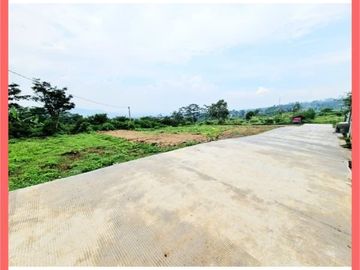 Tanah Sleman, 450m ke Kopi Ampirono: Legalitas SHM P