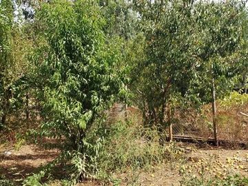 Parcela en venta en Santa Bárbara