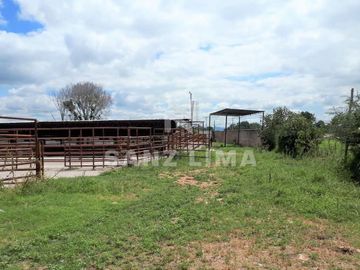 CARR. CELAYA-SAN MIGUEL DE ALLENDE  TERRENO USO AGRICOLA O INDUSTRIAL
