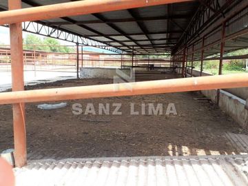 CARR. CELAYA-SAN MIGUEL DE ALLENDE  TERRENO USO AGRICOLA O INDUSTRIAL