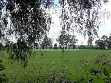 CARR. CELAYA-SAN MIGUEL DE ALLENDE  TERRENO USO AGRICOLA O INDUSTRIAL
