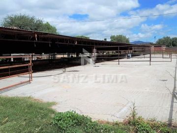 CARR. CELAYA-SAN MIGUEL DE ALLENDE  TERRENO USO AGRICOLA O INDUSTRIAL