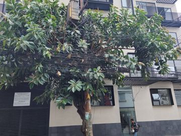 DEPARTAMENTO EN VENTA SANTA MARIA NONOALCO