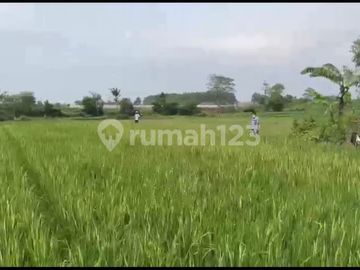 Dijual Cepat Tanah Cocok untuk Pabrik Gudang Workshop di Serang Banten