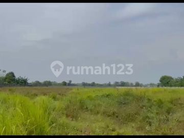 Dijual Cepat Tanah Cocok untuk Pabrik Gudang Workshop di Serang Banten