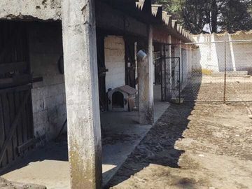 Cabaña El Cedral