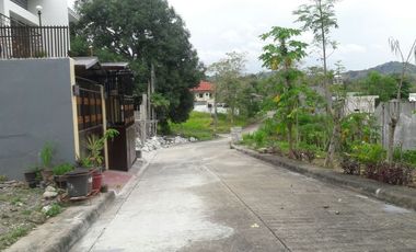 Affordable 160 Sqm Lot for Sale in Talamban, Cebu City