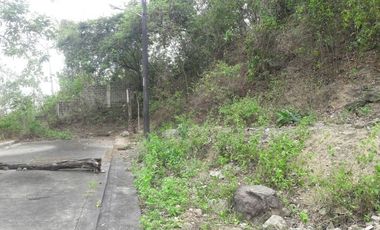 Affordable 160 Sqm Lot for Sale in Talamban, Cebu City