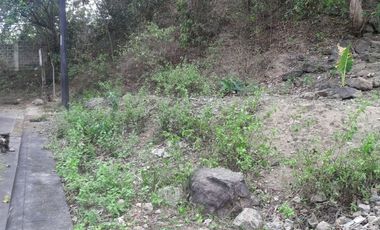 Affordable 160 Sqm Lot for Sale in Talamban, Cebu City