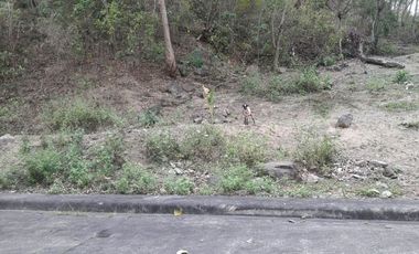Affordable 160 Sqm Lot for Sale in Talamban, Cebu City