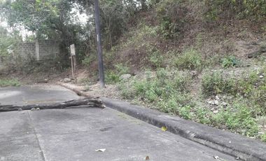 Affordable 160 Sqm Lot for Sale in Talamban, Cebu City