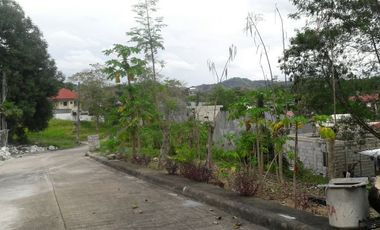 Affordable 160 Sqm Lot for Sale in Talamban, Cebu City