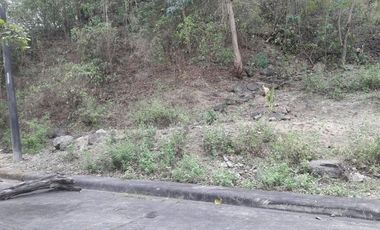 Affordable 160 Sqm Lot for Sale in Talamban, Cebu City