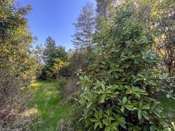 Parcela en Venta en Terreno Futrono Orilla al Estero (Cerco perimetral gratis)