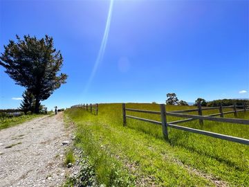 Parcela en Venta en Terreno Futrono Orilla al Estero (Cerco perimetral gratis)