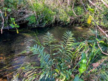 Parcela en Venta en Terreno Futrono Orilla al Estero (Cerco perimetral gratis)