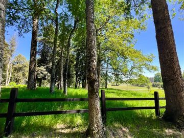 Parcela en Venta en Terreno Futrono Orilla al Estero (Cerco perimetral gratis)