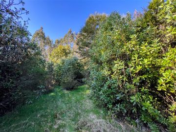 Parcela en Venta en Terreno Futrono Orilla al Estero (Cerco perimetral gratis)