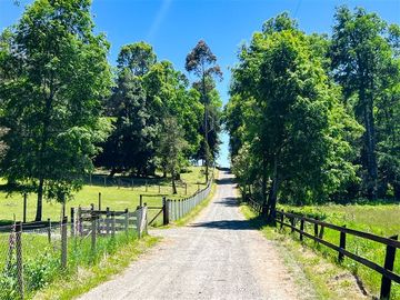 Parcela en Venta en Terreno Futrono Orilla al Estero (Cerco perimetral gratis)