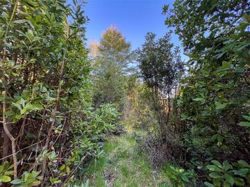 Parcela en Venta en Terreno Futrono Orilla al Estero (Cerco perimetral gratis)
