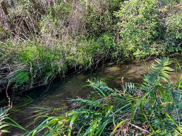 Parcela en Venta en Terreno Futrono Orilla al Estero (Cerco perimetral gratis)