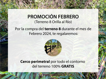 Parcela en Venta en Terreno Futrono Orilla al Estero (Cerco perimetral gratis)