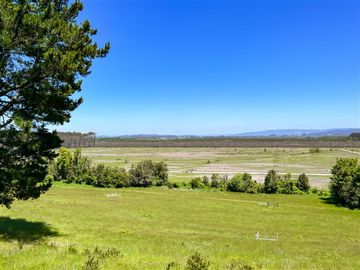 Parcela en Venta en Terreno Futrono Orilla al Estero (Cerco perimetral gratis)