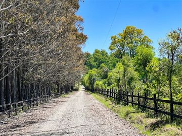 Parcela en Venta en Terreno Futrono Orilla al Estero (Cerco perimetral gratis)