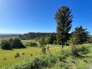 Parcela en Venta en Terreno Futrono Orilla al Estero (Cerco perimetral gratis)