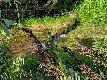 Parcela en Venta en Terreno Futrono Orilla al Estero (Cerco perimetral gratis)